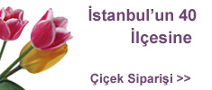 İstanbul çiçekçi