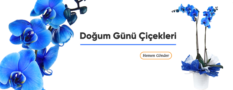 Çiçekçi