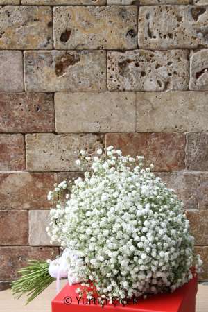 Gypsophila Gelin Buketi