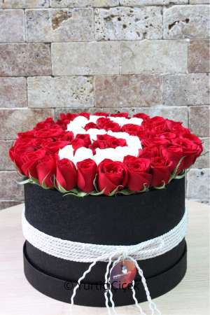 Kutuda Harf Serisi 3