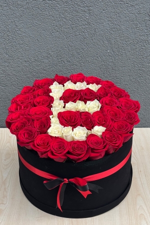 Kutuda Harf Serisi 2