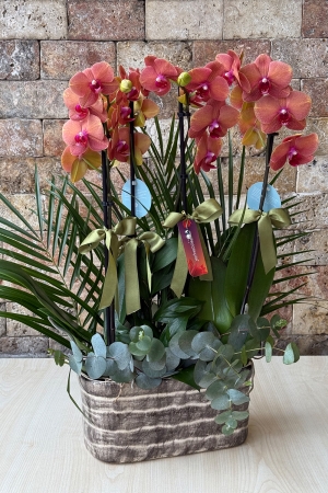 Canım Sevgilim Serisi 32